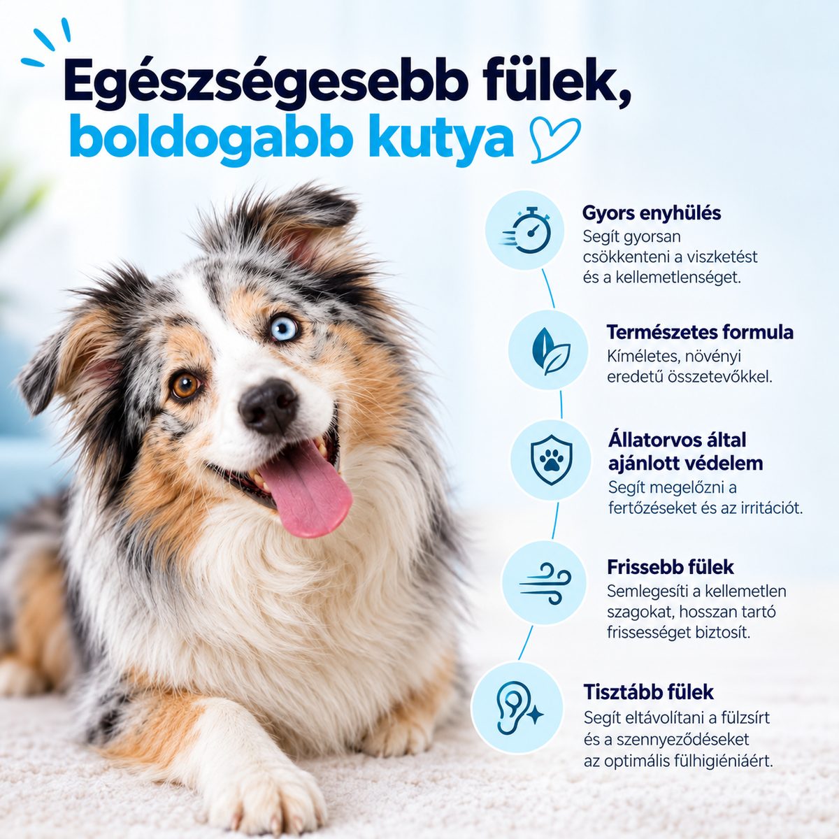 Fültisztító csepp kutyáknak
