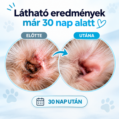 Fültisztító csepp kutyáknak